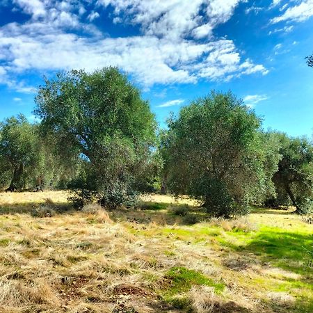 Agriturismo Lillastro Бракканьи Экстерьер фото